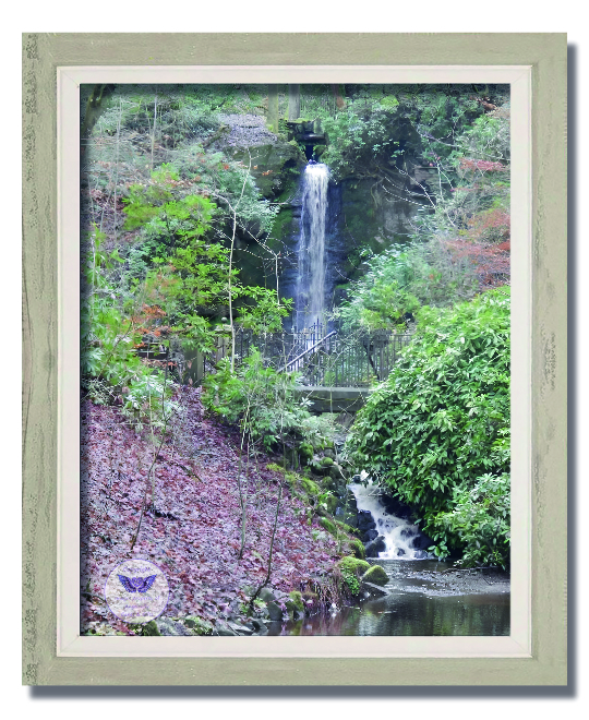 Bold Venture Waterfall
Various Sizes
From £6.00
BUY NOW